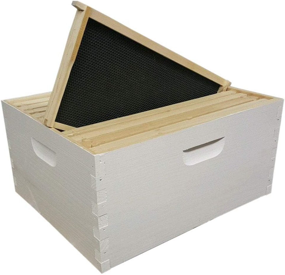 8 Frame Size DEEP Assembled, Wax Dipped, Painted Boxes and 8 Assembled Deep Frames With Plastic Foundation