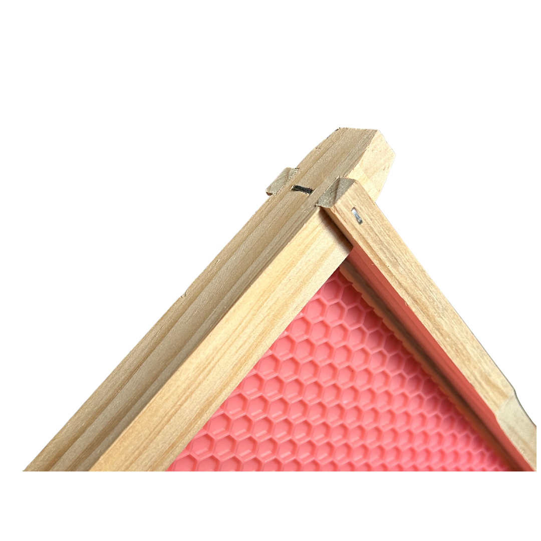 Case of 20 - Assembled DEEP Wooden Beekeeping Frame With DRONE Plastic Foundation