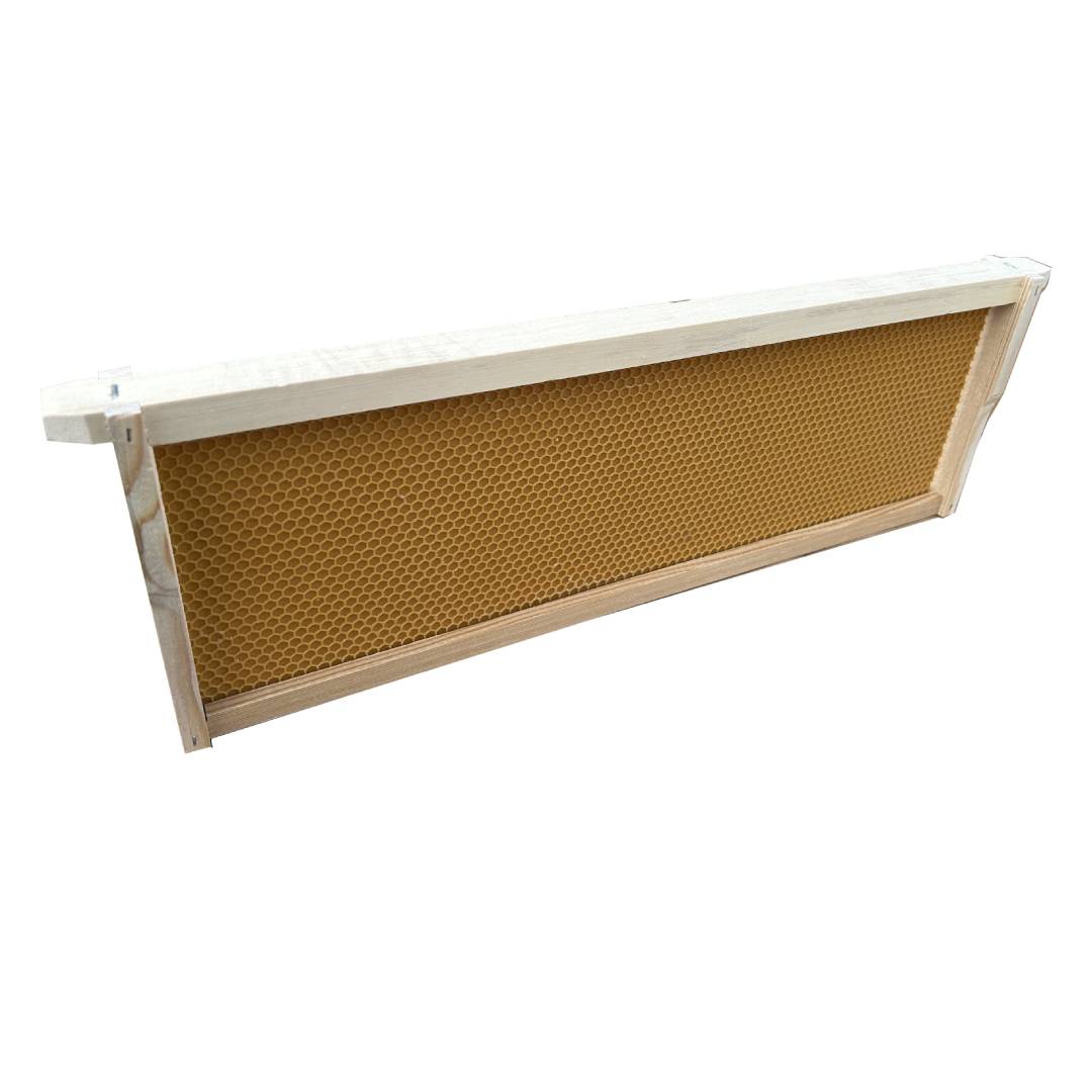 Case of 20 - Medium Size Assembled Pine Frames with Plastic Foundation