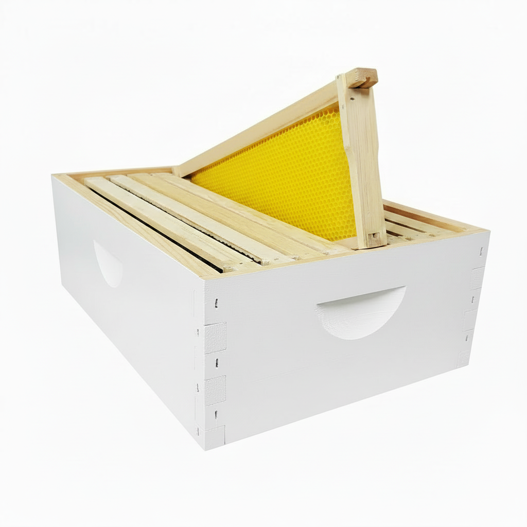 10 Frame Size MEDIUM Assembled, Wax Dipped, Painted Boxes and 10 Assembled Medium Frames With Plastic Foundation
