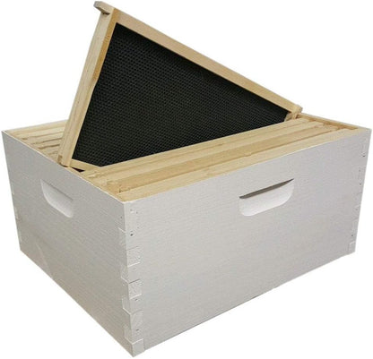 8 Frame Size DEEP Assembled, Wax Dipped, Painted Boxes and 8 Assembled Deep Frames With Plastic Foundation