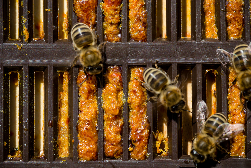 8 Frame Propolis Trap Mat
