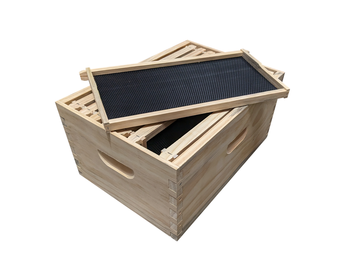 ASSEMBLED 8 Frame Size Deep Box and 8 Assembled Frames With Black Plastic Foundation