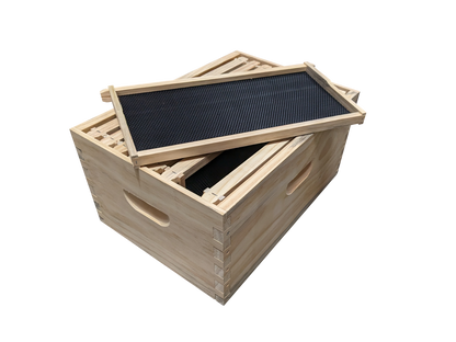 ASSEMBLED 8 Frame Size Deep Box and 8 Assembled Frames With Black Plastic Foundation