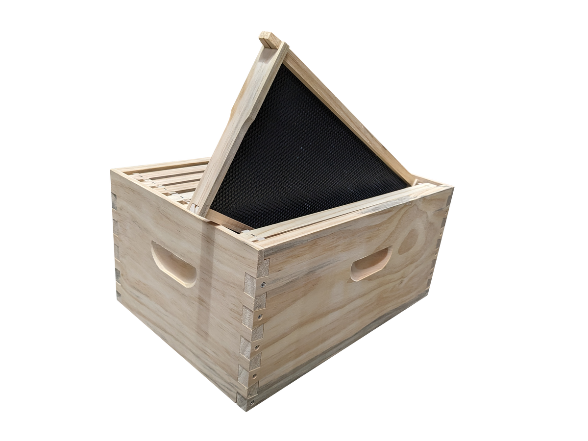 ASSEMBLED 10 Frame Size DEEP Box and 10 Assembled Frames With Black Plastic Foundation