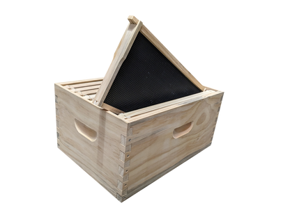 ASSEMBLED 10 Frame Size DEEP Box and 10 Assembled Frames With Black Plastic Foundation