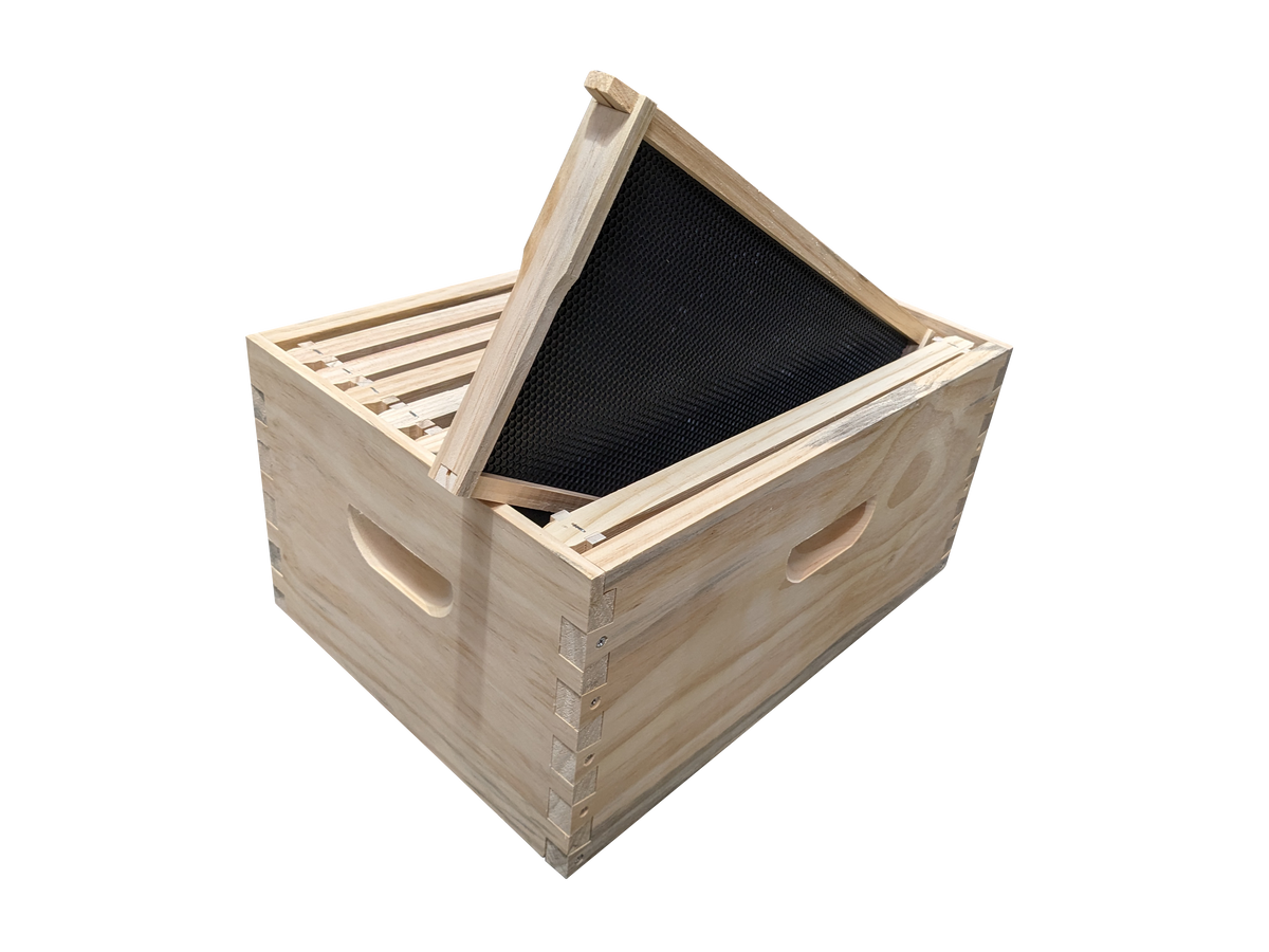ASSEMBLED 8 Frame Size Deep Box and 8 Assembled Frames With Black Plastic Foundation