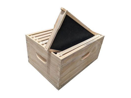 ASSEMBLED 8 Frame Size Deep Box and 8 Assembled Frames With Black Plastic Foundation