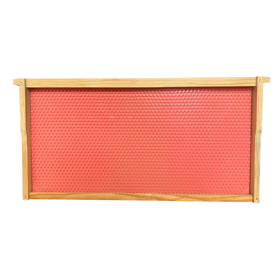 Case of 20 - Assembled DEEP Wooden Beekeeping Frame With DRONE Plastic Foundation