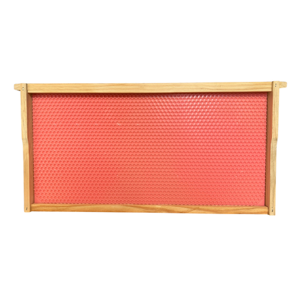 Case of 20 - Assembled DEEP Wooden Beekeeping Frame With DRONE Plastic Foundation