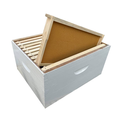 8 Frame Size DEEP Assembled, Wax Dipped, Painted Boxes and 8 Assembled Deep Frames With Plastic Foundation