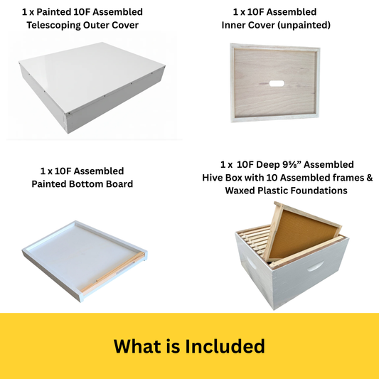 Single Level Beehive – 10 Frame, Telescoping Outer Cover (Assembled & Painted)
