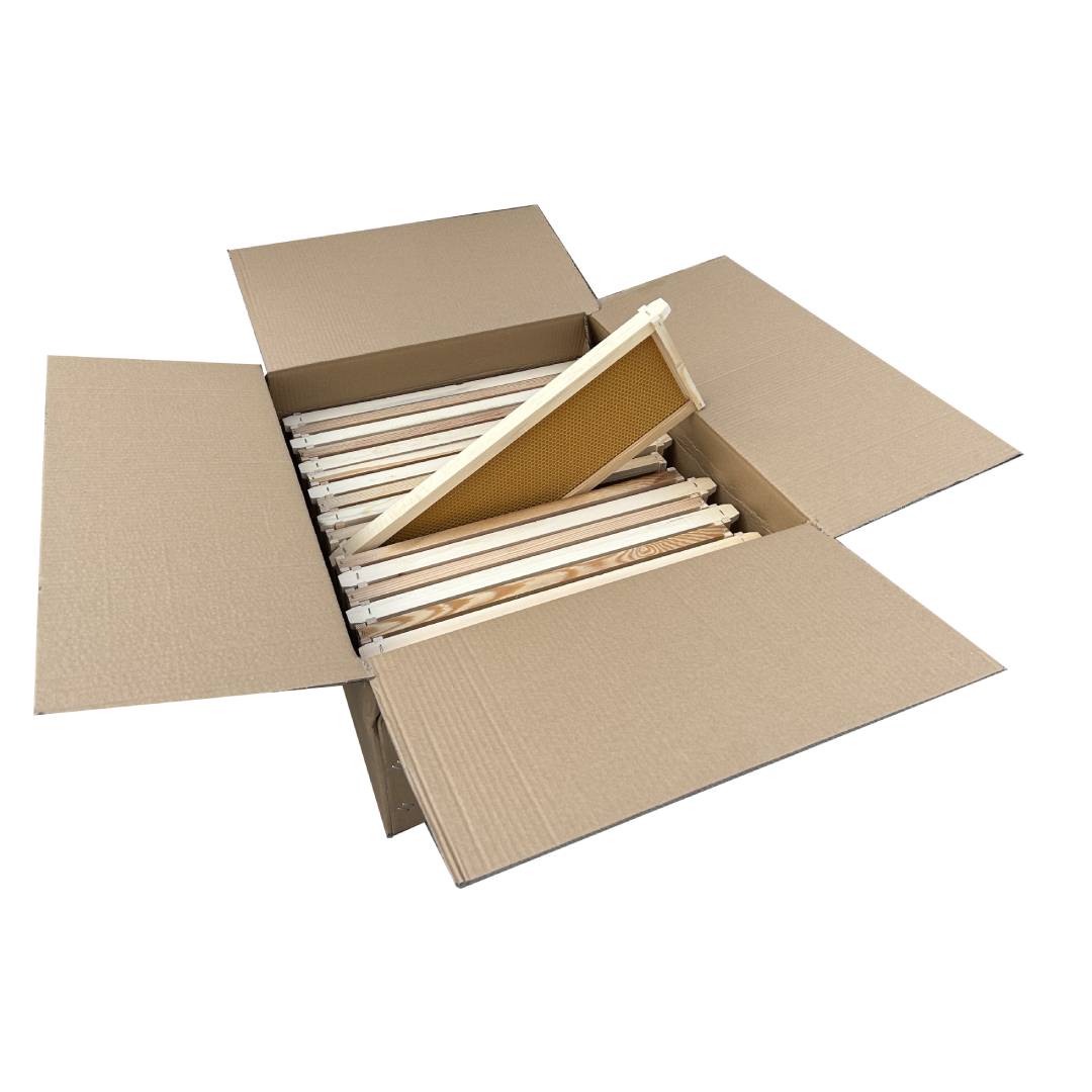 Case of 20 - Medium Size Assembled Pine Frames with Plastic Foundation