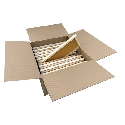 Case of 20 - Medium Size Assembled Pine Frames with Plastic Foundation