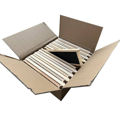Case of 20 - Medium Size Assembled Pine Frames with Plastic Foundation
