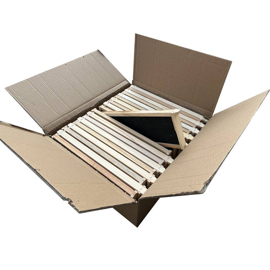 Case of 20 - Medium Size Assembled Pine Frames with Plastic Foundation