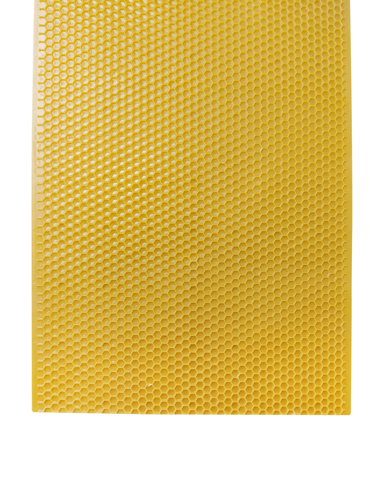Plastic Beekeeping Foundation - Deep - Yellow or Black