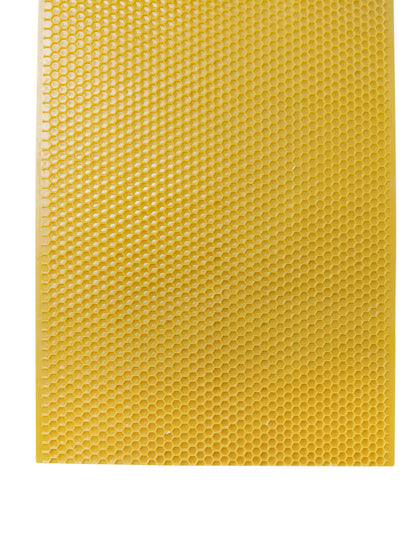 Plastic Beekeeping Foundation - Deep - Yellow or Black