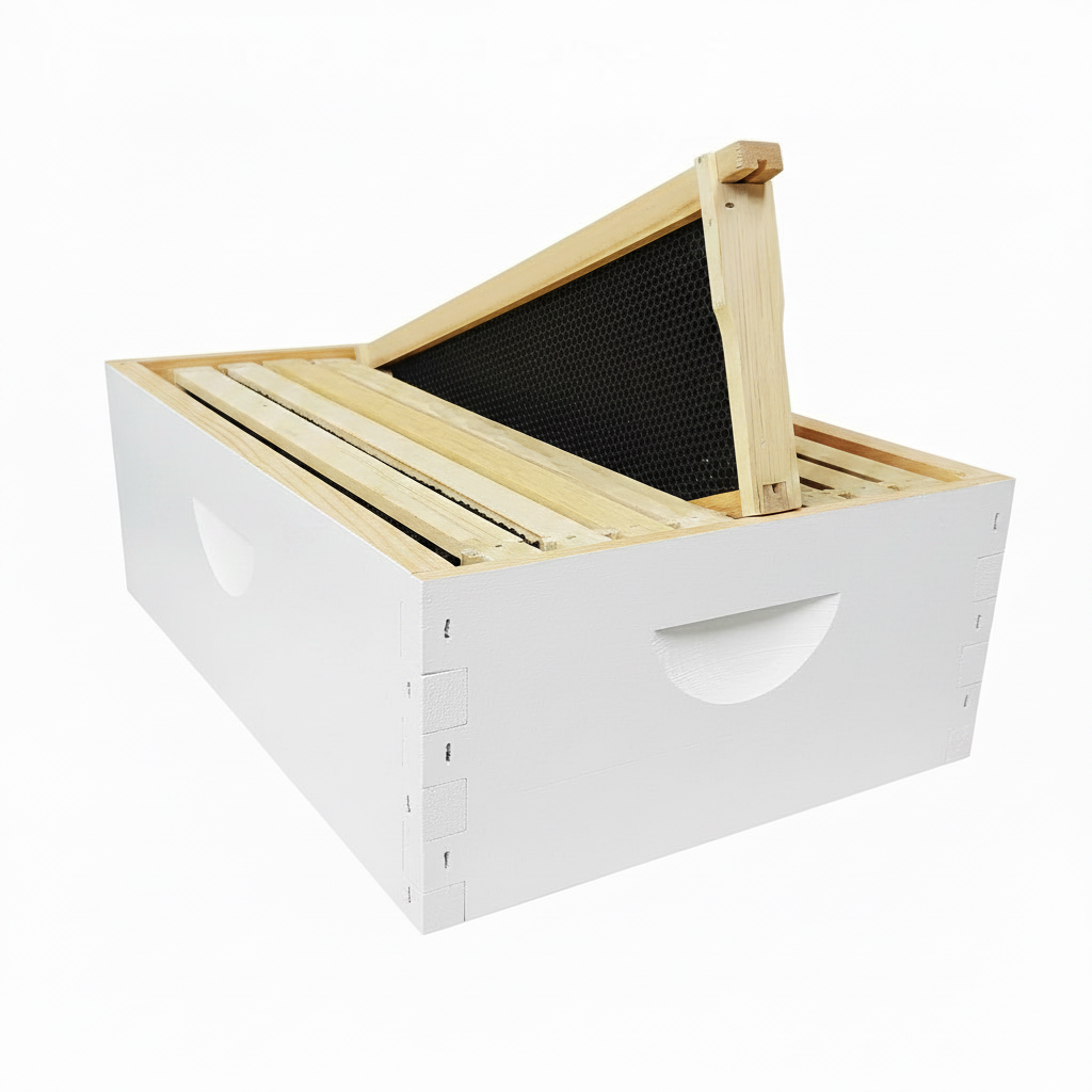 10 Frame Size MEDIUM Assembled, Wax Dipped, Painted Boxes and 10 Assembled Medium Frames With Plastic Foundation