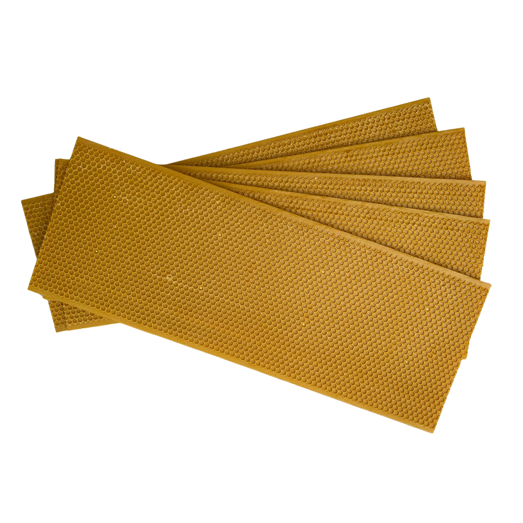 Plastic Beekeeping Foundation - MEDIUM  - Yellow Color