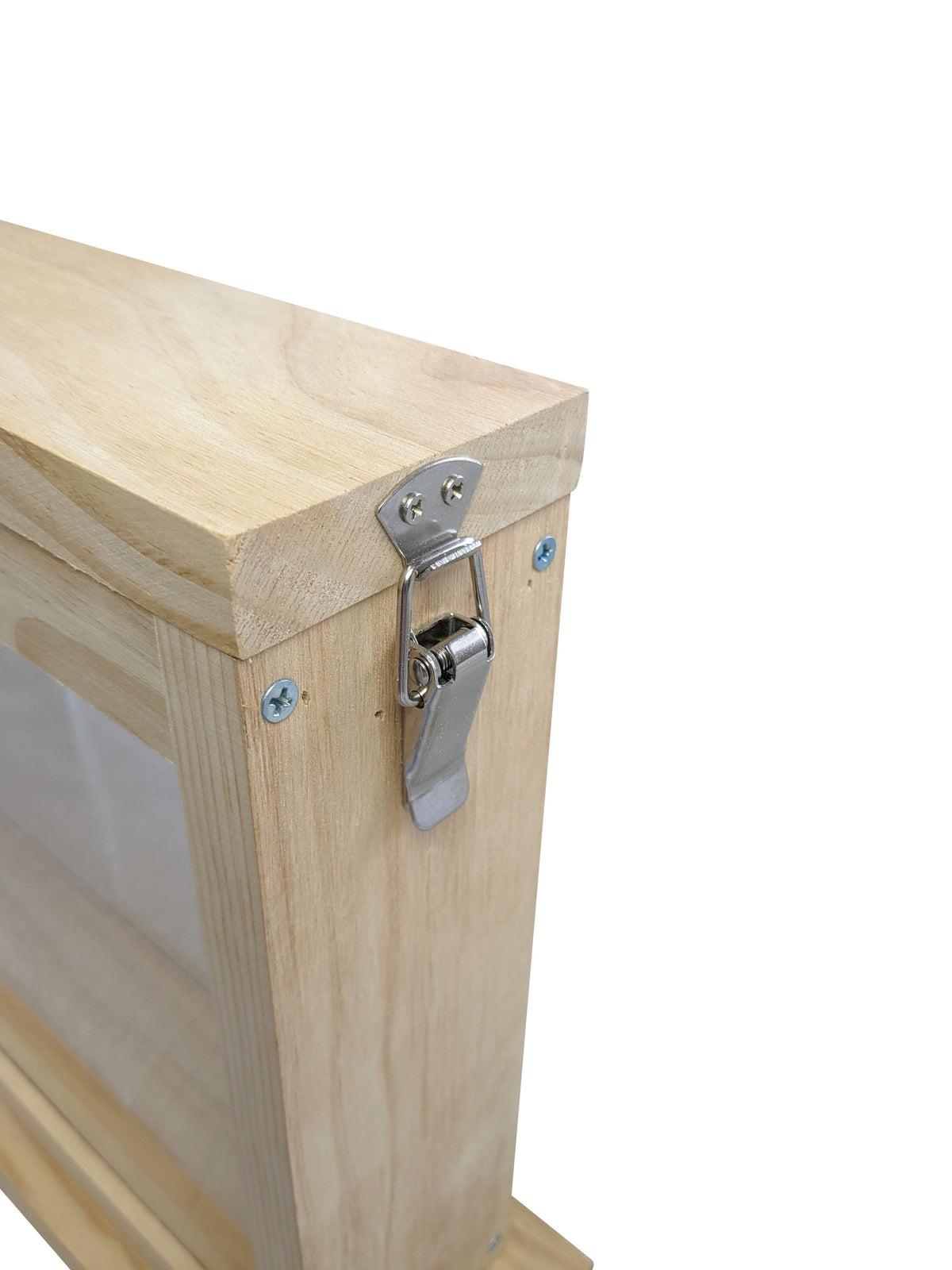 Observation Educational Beehive - Single Frame