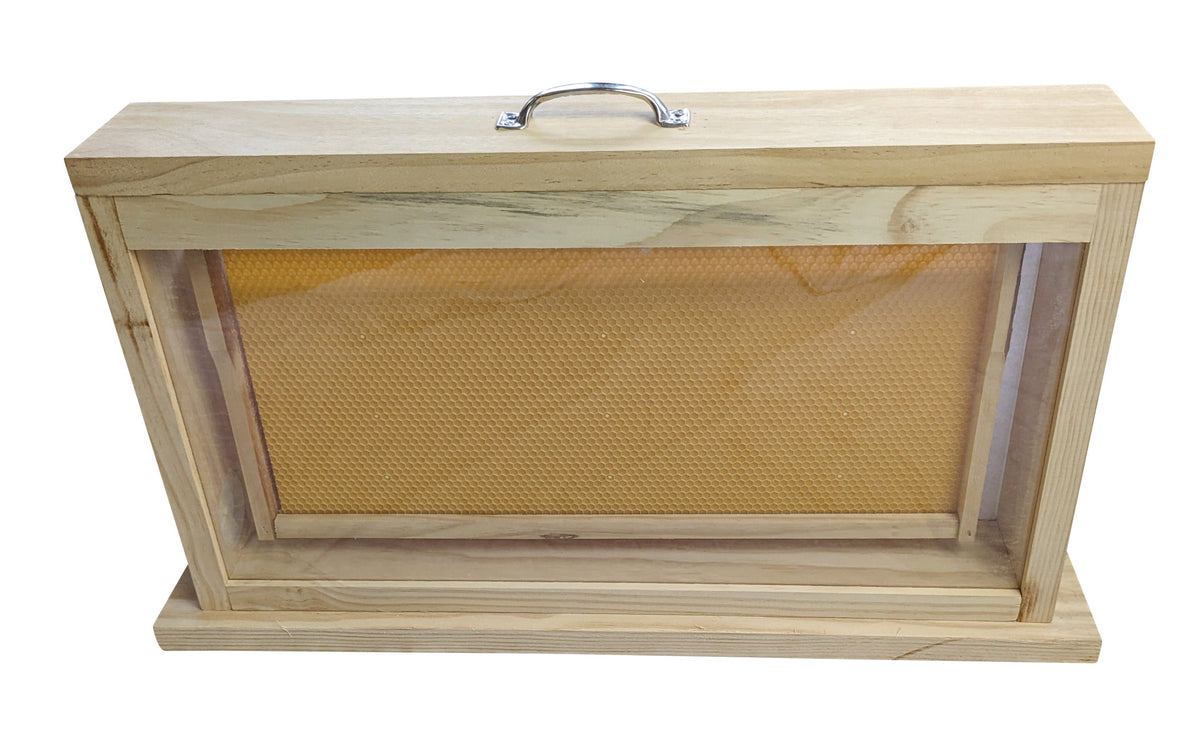 Observation Educational Beehive - Single Frame