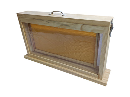 Observation Educational Beehive - Single Frame