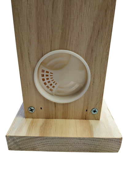 Observation Educational Beehive - Single Frame