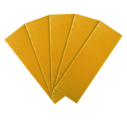 Plastic Beekeeping Foundation - SHALLOW  - Yellow Color