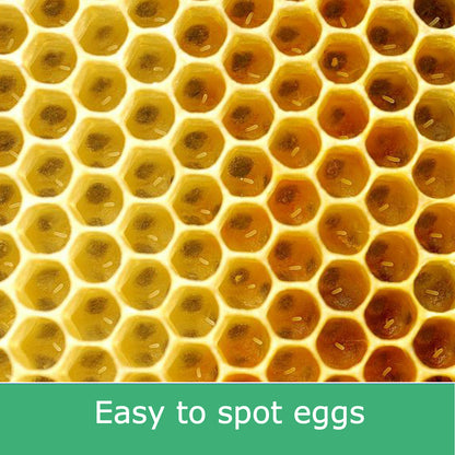 Bulk Buy - 100 x Deep Beekeeping Frames With Yellow Plastic Foundation